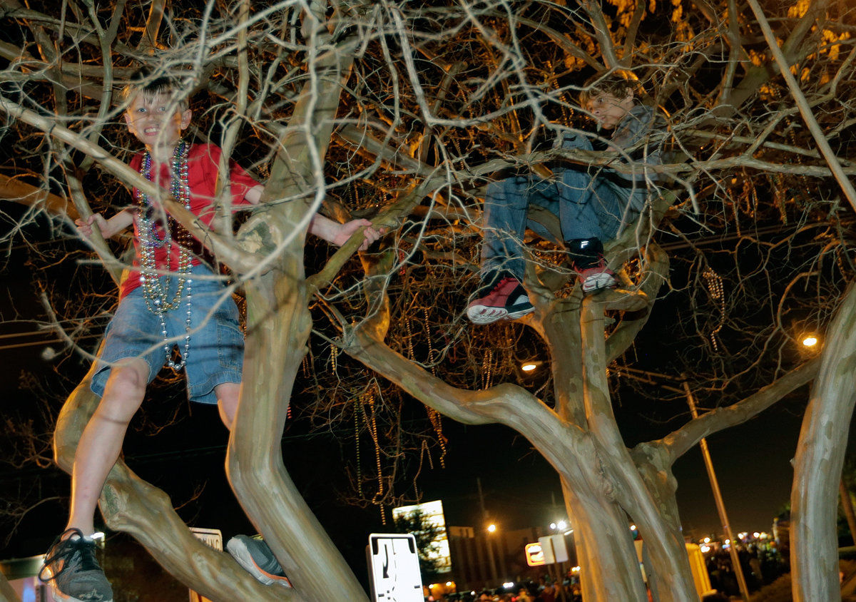 For Mardi Gras season in Metairie, Excalibur drops Bonnabel, Pandora tries comeback